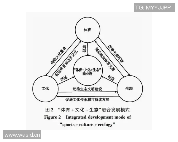 体育产业发展趋势与创新模式探索在新时代背景下的机遇与挑战